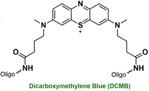 Bio-Synthesis Inc. Oligo Structure
